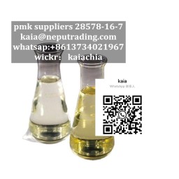 28578-16-7 Pmk Oil powder suppliers kaia&commat;neputrading&period;com whatsapp&colon;&plus;8613734021967