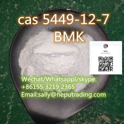 BMK Glycidic Acid &lpar;sodium salt&rpar; Cas 5449-12-7 whatsapp&colon;&plus;8615532192365