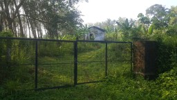 LAND FOR SALE IN TRIVANDRUM&comma; KERALA