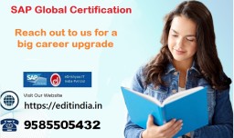 eDrishyaa IT India Pvt&period; Ltd &lpar;SAP Authorized Academy&rpar;