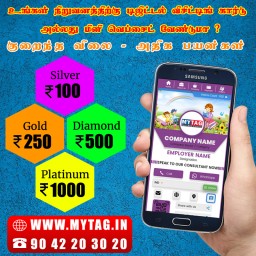 Digital Visiting Card &sol; Mini Website