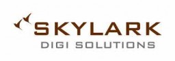 Skylark Digi Solutions &vert; Web Development and Digital Marketing Services