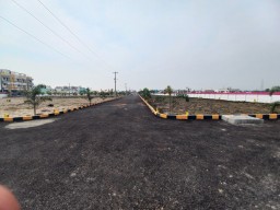 Premier garden