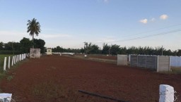 plot sale in vallam&comma; Thanjavur