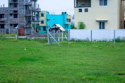 Ready To Construction Plot Sale For Low Budget