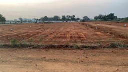plot sale thanjai