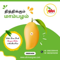 Buy 100&percnt; natural fresh Top organic mangoes online