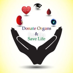 We are urgently in need of kidney donors