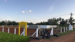 Plot sale in vallam &comma; Thanjavur