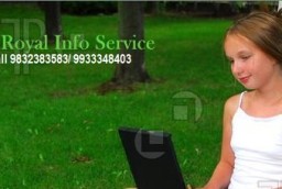 Royal Info Service Offered