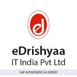 eDrishyaa IT India Pvt&period; Ltd &lpar;SAP Authorized Academy&rpar;