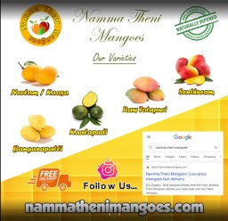 NammaTheniMangoes