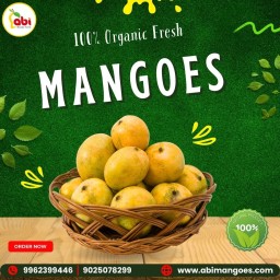 One of the Best Online Sellers in Namakkal by Abi Mangoes