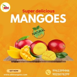 Abi Mangoes is a One of the Best Online Natural Tasty Mangoes Seller in Namakkal,Tamilnadu