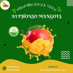 One of the best online sellers of tasty, natural mangoes in Namakkal, Tamil Nadu is Abi Mangoes.