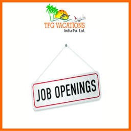 ONLINE MARKETING WORK ONLINE JOBS FROM TFG VACATIONS PVT. LTD.