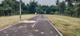 Plot sale in Kumbakonam and Thirunageshwaram surroundings