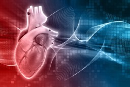 What Does Heart Valve Replacement Surgery Entail?