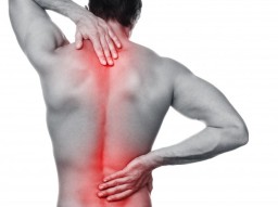 Spine Back Pain: How To Prevent & Treat It?