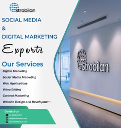 Strobilan Technologies