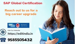 eDrishyaa IT India Pvt. Ltd (SAP Authorized Academy)