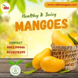 One of the Best Online Sellers by Abi Mangoes in Namakkal