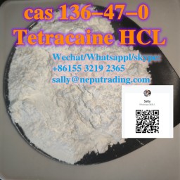 Tetracaine HCL CAS 136-47-0 whatsapp:+8615532192365