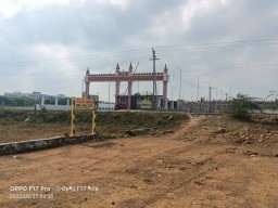 Dtcp Plot for sale at Thiruvallur opp Dr Ambedkar Law College