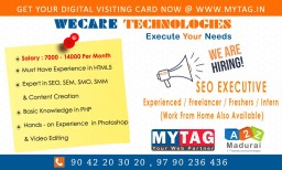 Wanted SEO Executive