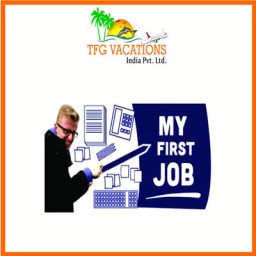 Income Platform In Tourism Company Candidate Required