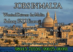 Urgent wanted Drivers For Malta