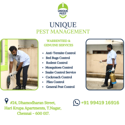 Are you looking pest control for home in chennai?