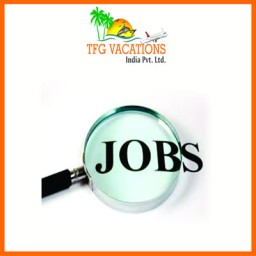 INCOME OPPORTUNITY FOR ALL & EVERYONE IN TOURISM COMPANY