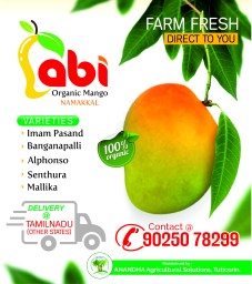 Abi Mangoes is a One of the Best Online Natural Tasty Mangoes Seller in Namakkal,Tamilnadu.