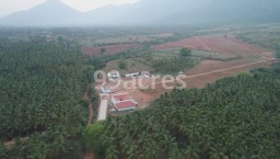 Farm land for sale in Pannimadai, Coimbatore.