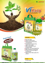 Vikelp Granules are an innovation in Biotechnology Research