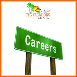 Tourism Company Hiring Candidates For Part Time Job