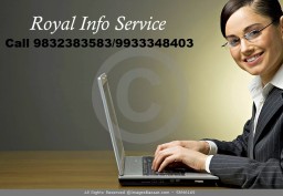 Royal Info Service Offered