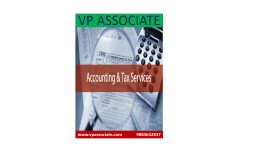 VP ASSOCIATE ACCOUNTING AND AUDTING