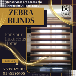 Zebra blinds