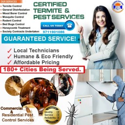 Best Pest Control Services